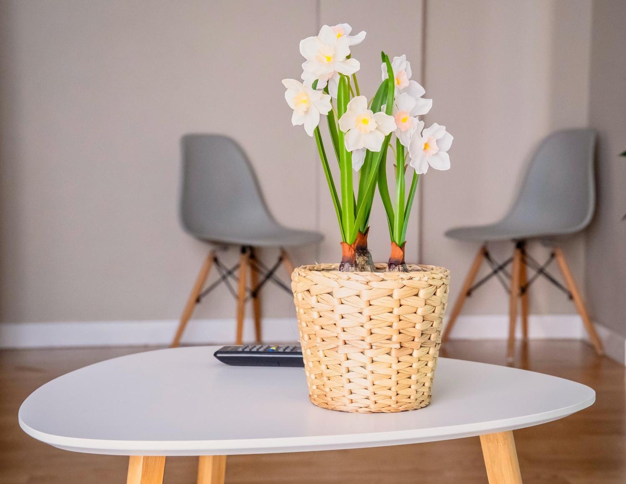 Santiago Tower Aire Ac Casco Antiguo By Apartamentos لوغرونيو المظهر الخارجي الصورة